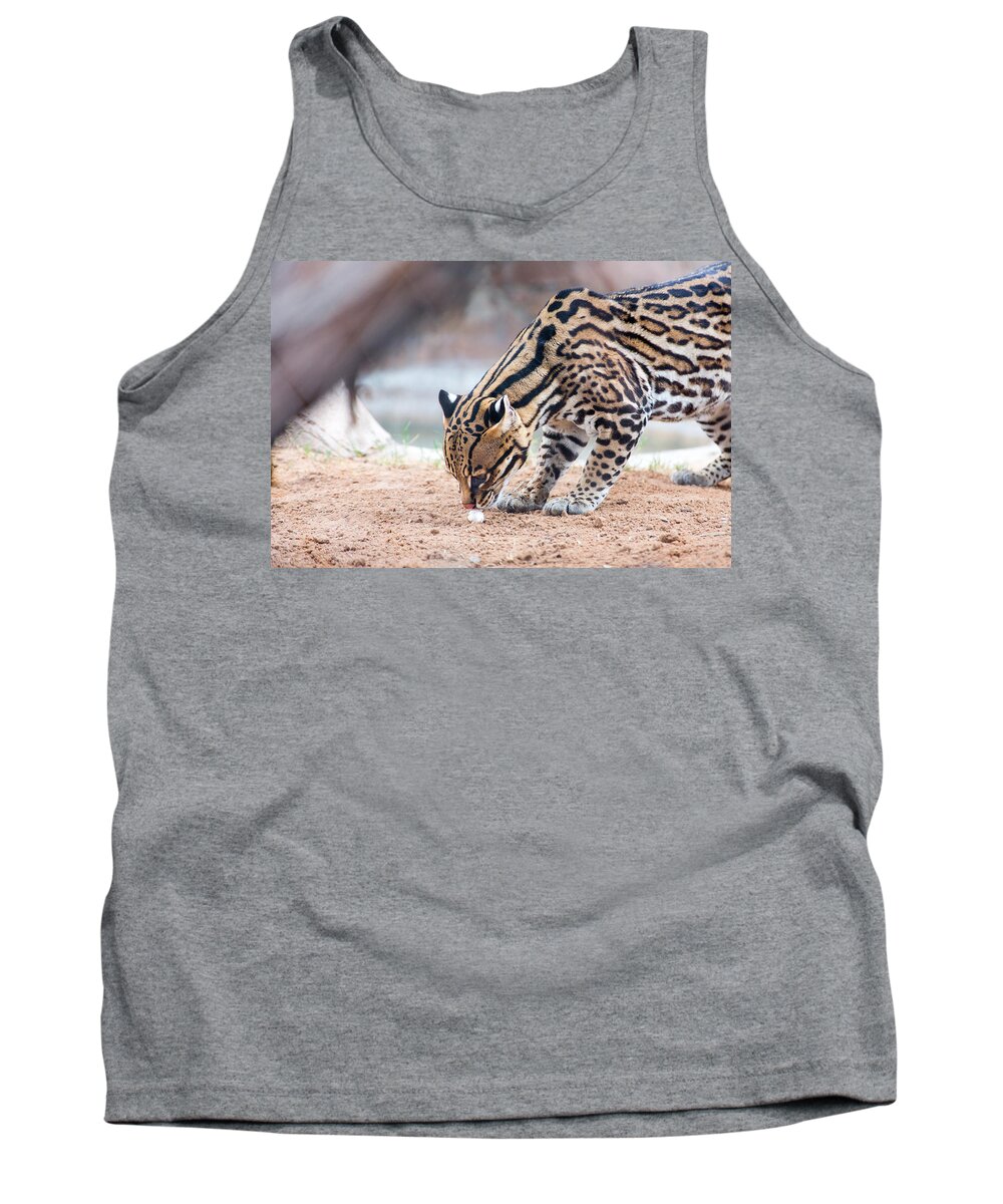 El Paso Tank Top featuring the photograph Ocelot and Egg by SR Green
