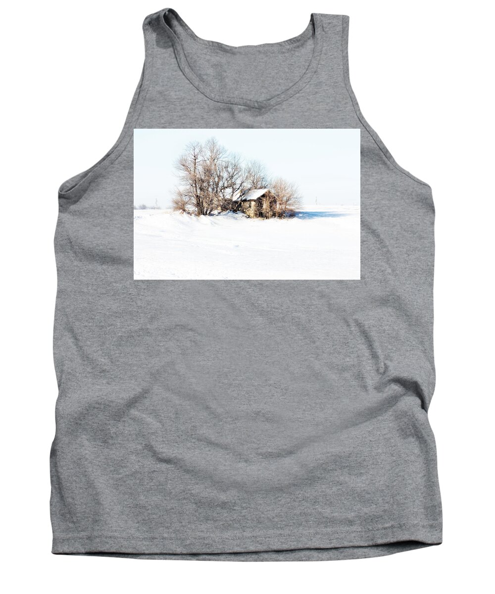 National Registry Tank Top featuring the photograph Old Stone House Milford by Julie Hamilton