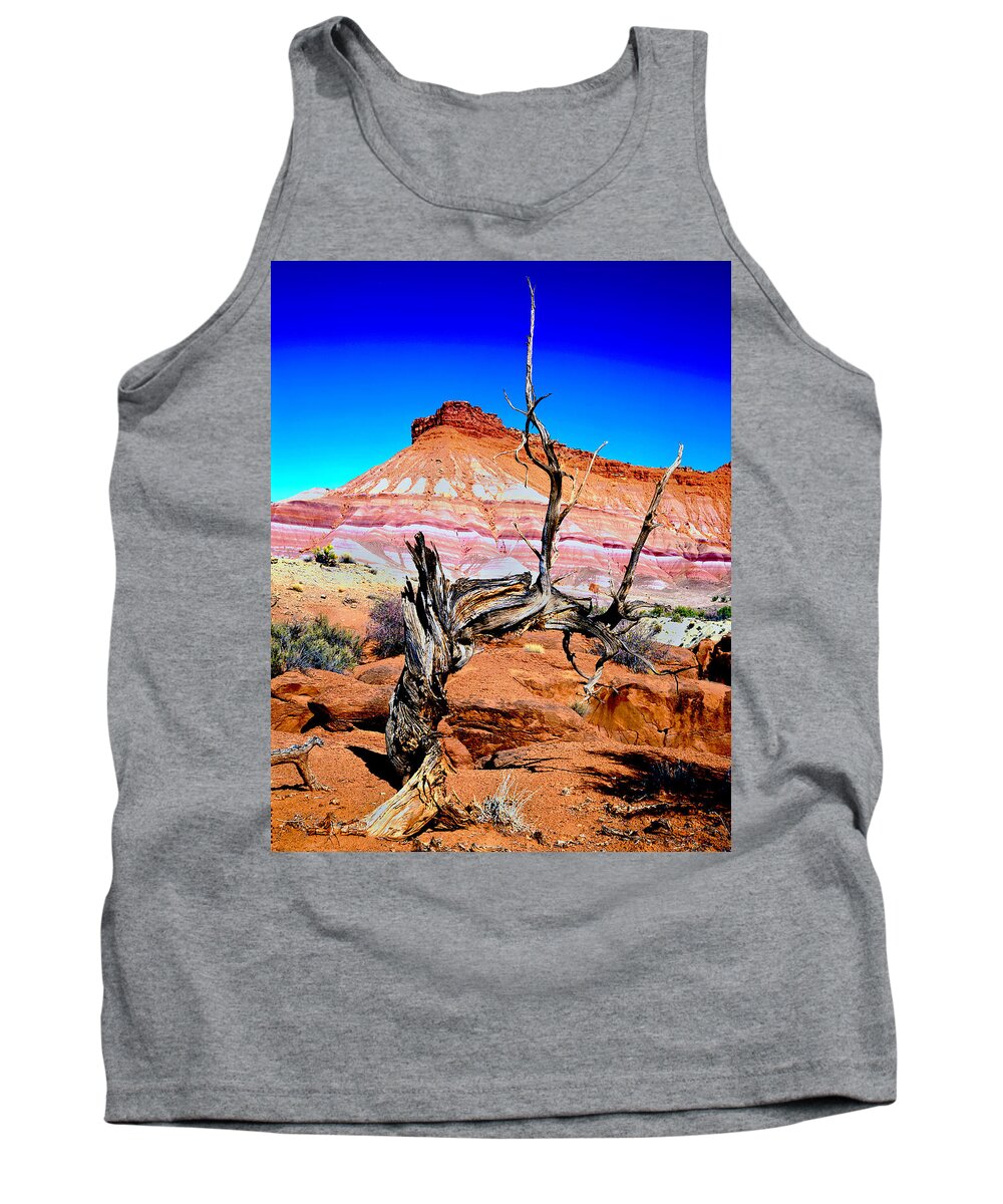 Vermilion Cliff/ Paria Wilderness Area Tank Top featuring the photograph Old-Timer by Frank Houck