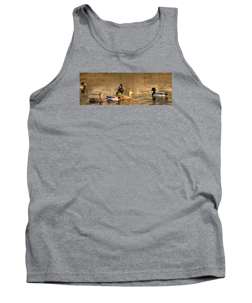Ducks; Wildlife; The Great Outdoors; Wildlife Refuge;  Kansas Outdoors; Kansas Beauty;  Tank Top featuring the photograph On Golden Pond by Betty Morgan