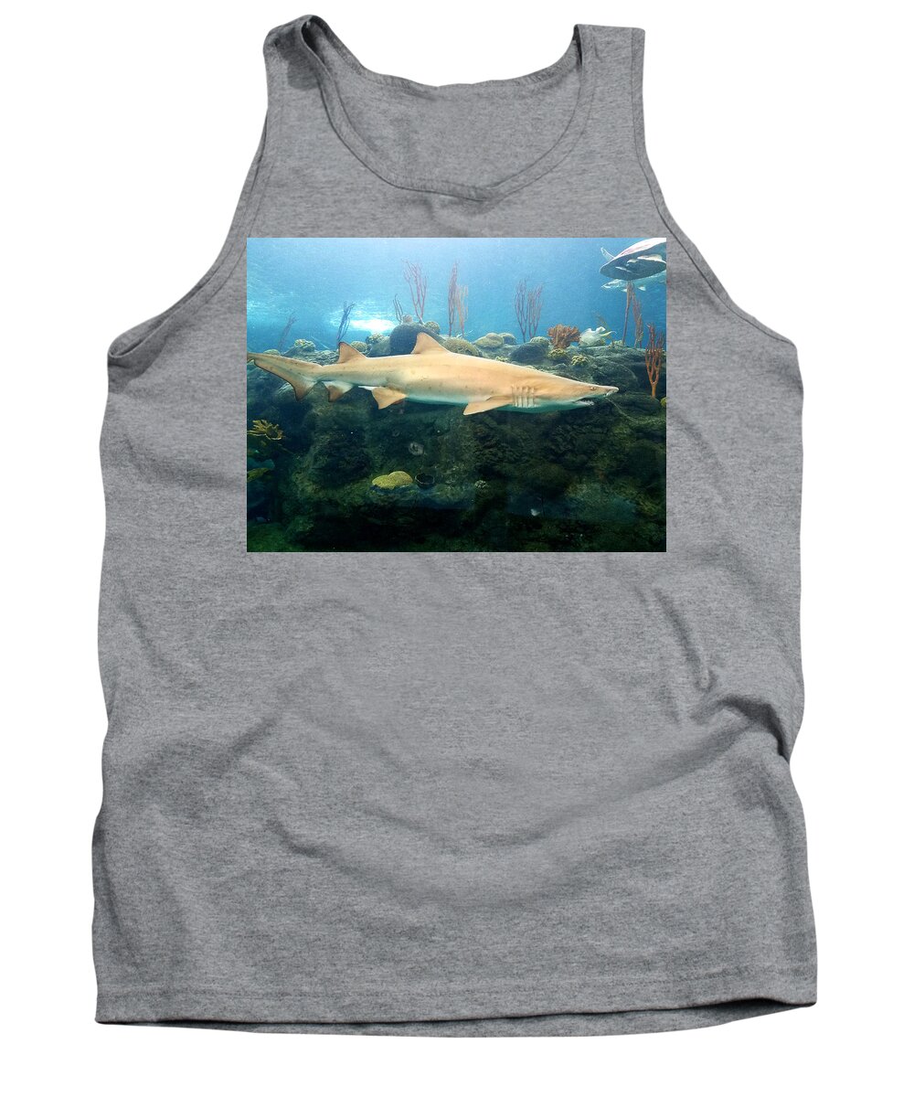 Shark Tank Top featuring the photograph On The Prowl by Rick Redman