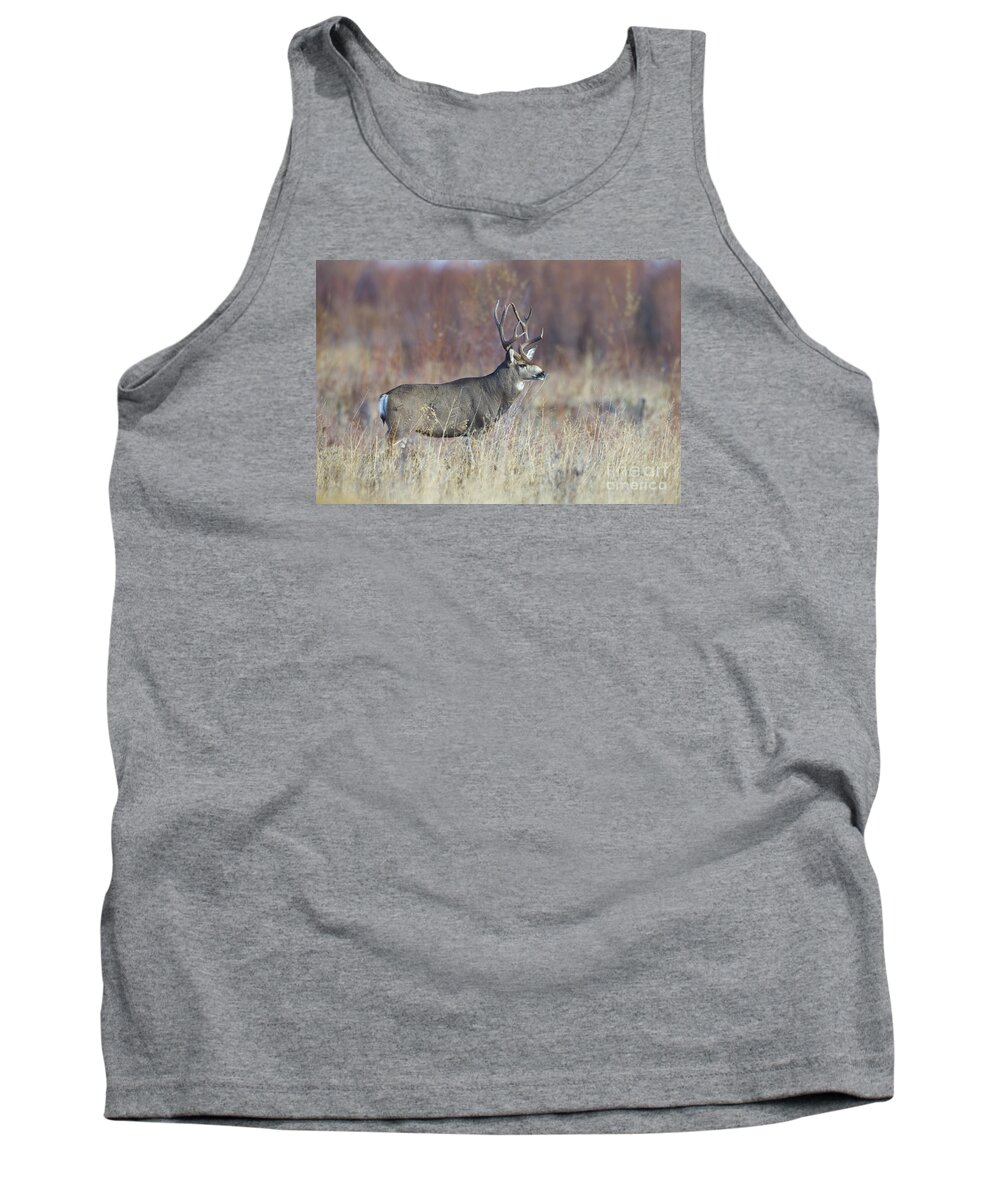 Buck Tank Top featuring the photograph On the River Bank by Douglas Kikendall