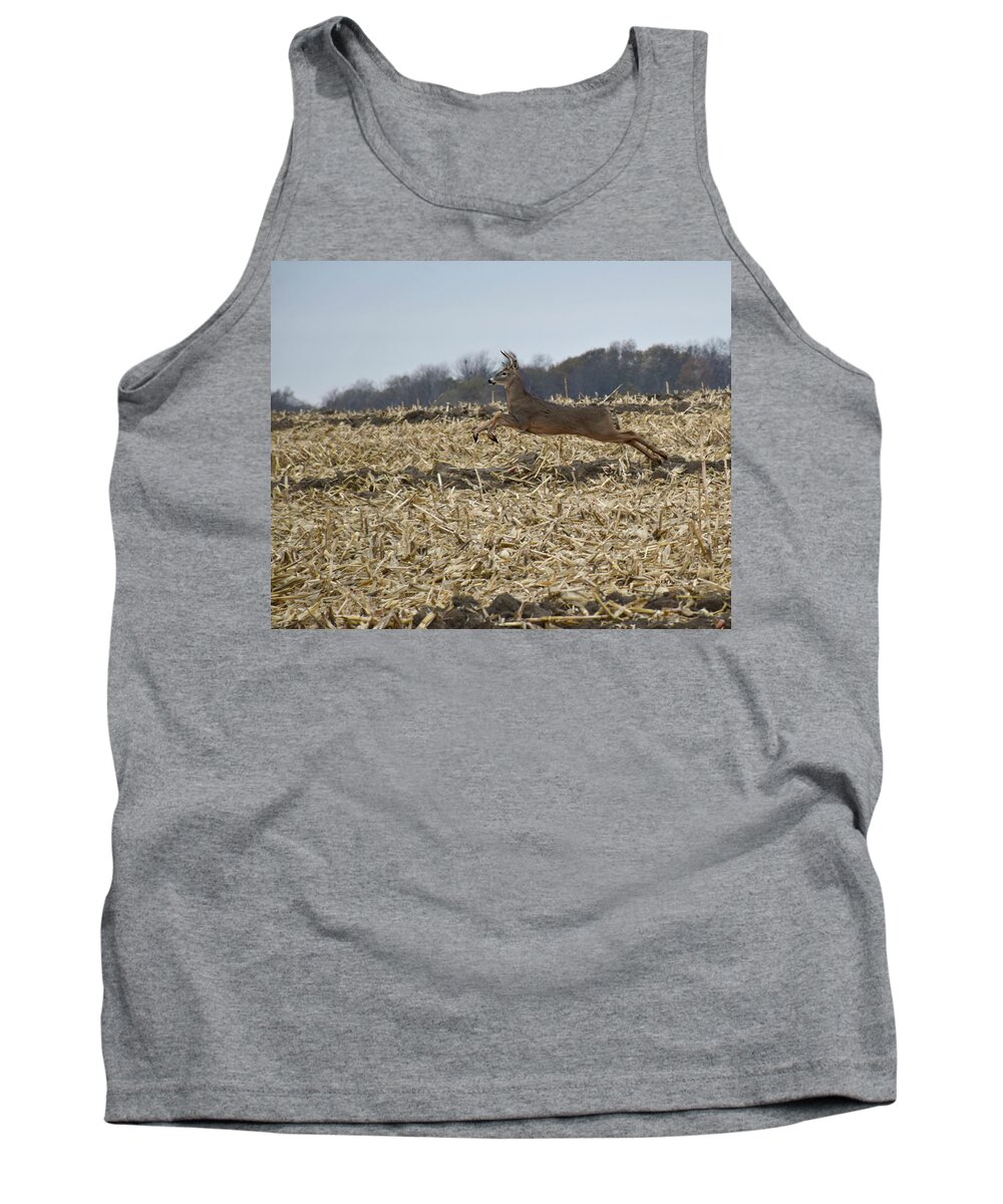 On The Run Tank Top featuring the photograph On The Run by Kathy M Krause