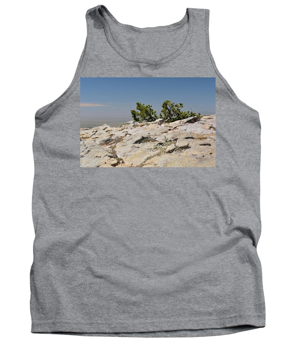 Landscape Tank Top featuring the photograph On Top of Sandia Mountain by Ron Cline