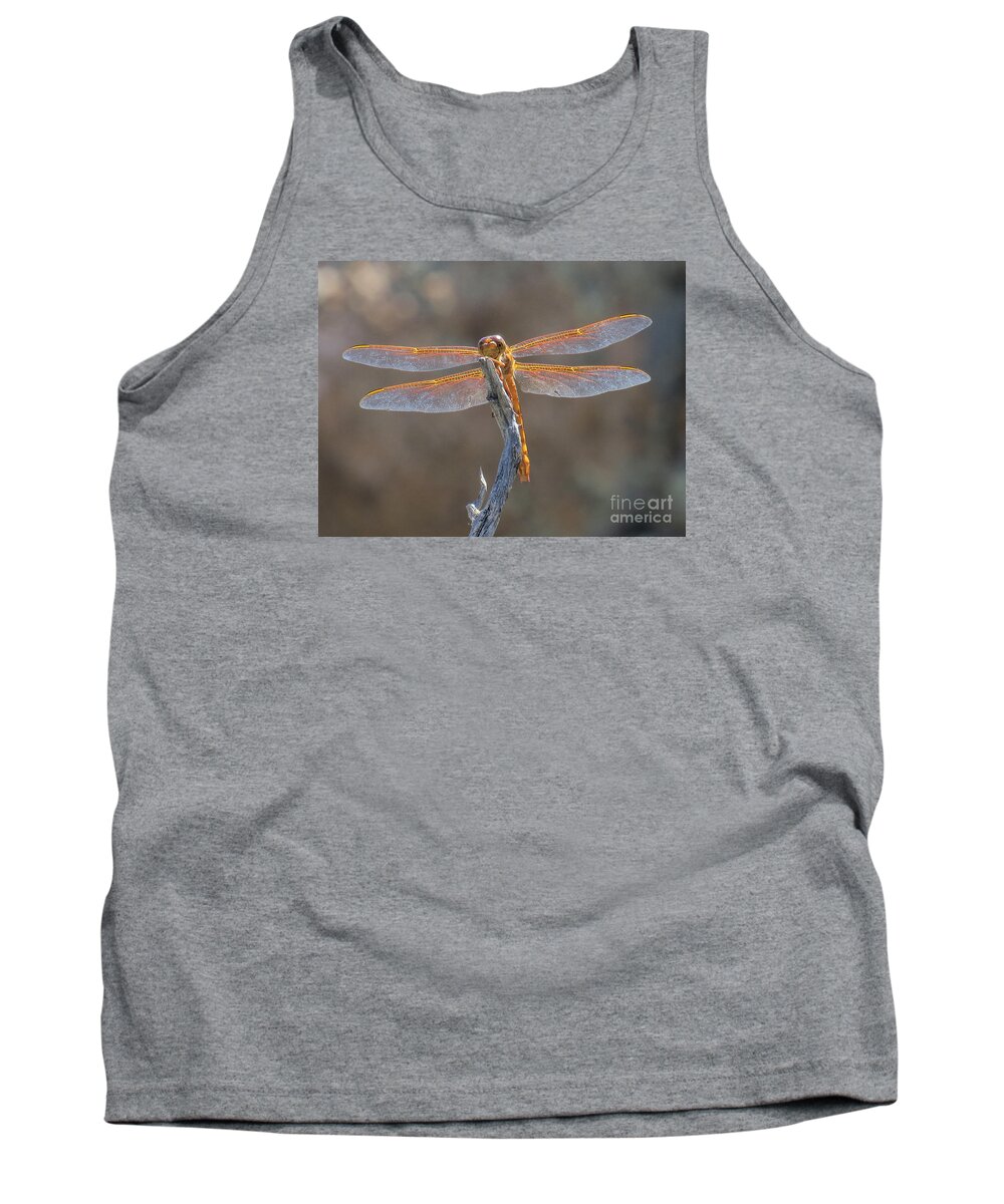 Nature Tank Top featuring the photograph Dragonfly 3 by Christy Garavetto