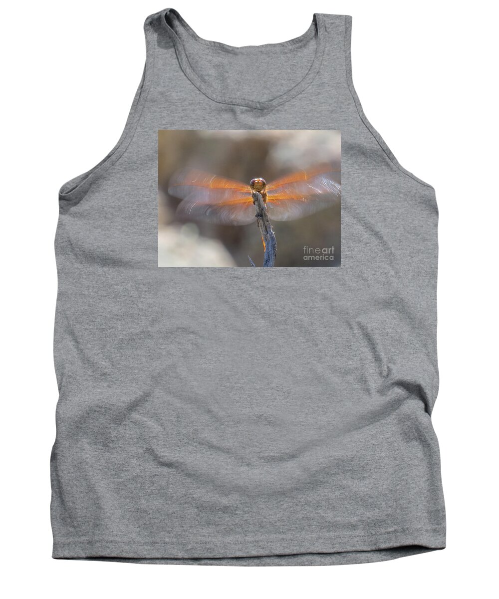 Nature Tank Top featuring the photograph Dragonfly 4 by Christy Garavetto