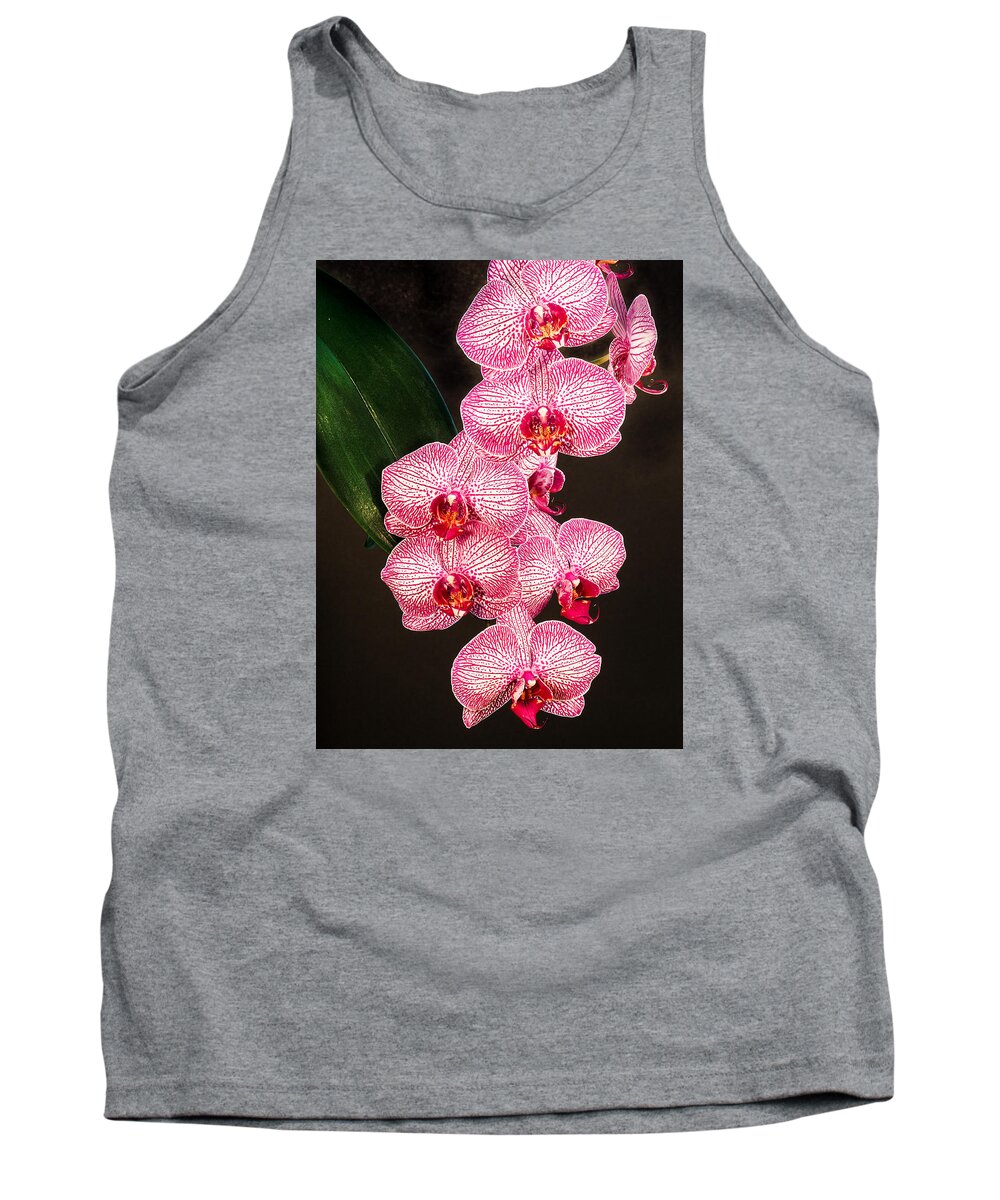 Phalaenopsis Tank Top featuring the photograph Orchid by Paula Ponath