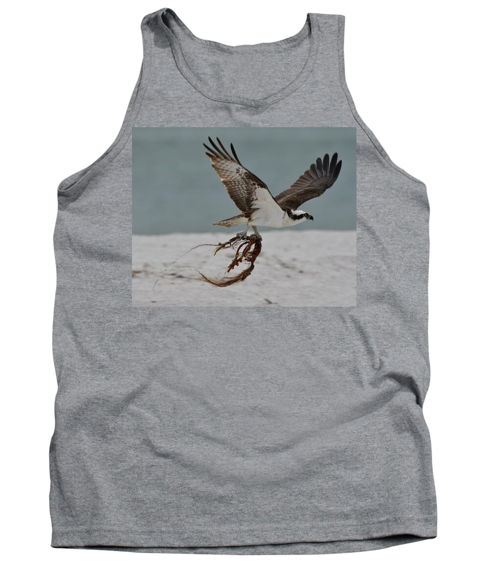 Osprey Tank Top featuring the photograph Osprey Flying with Seaweed by Artful Imagery