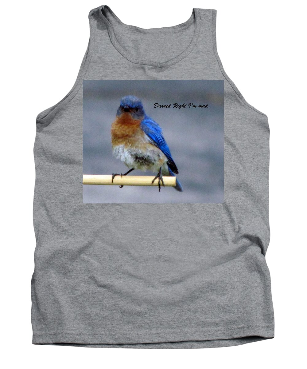 Mad Blue Bird Tank Top featuring the photograph Our Own Mad Blue Bird by Betty Pieper