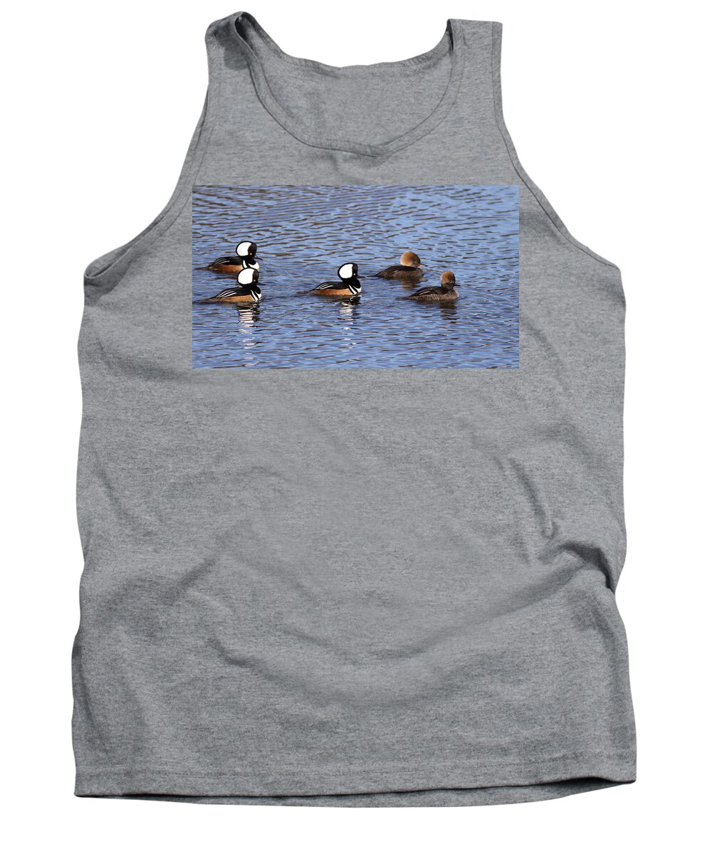 Hooded Merganser Tank Top featuring the photograph Out for a Stroll by Travis Truelove