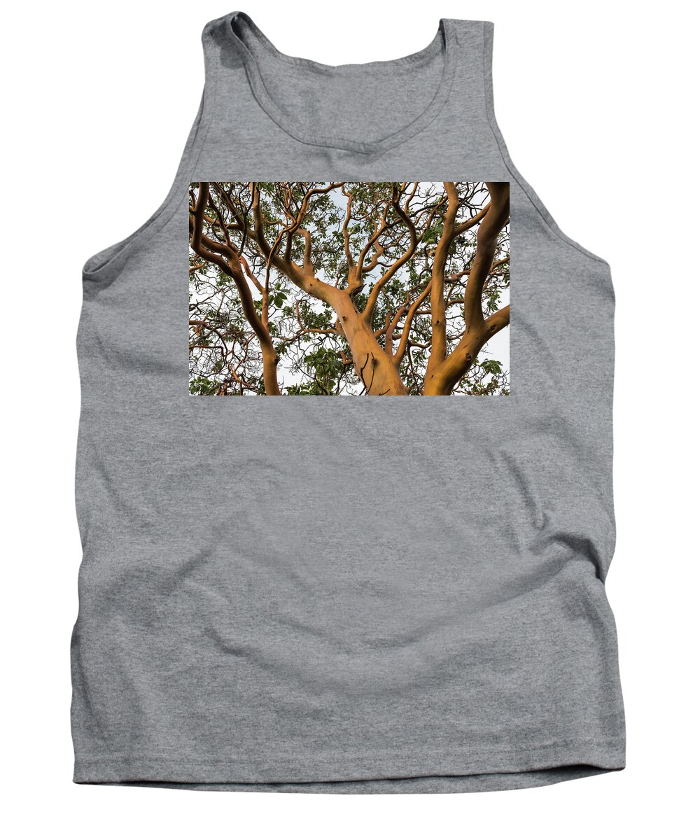 Anacortes Tank Top featuring the photograph Pacific Madrone Trees by Robert Potts