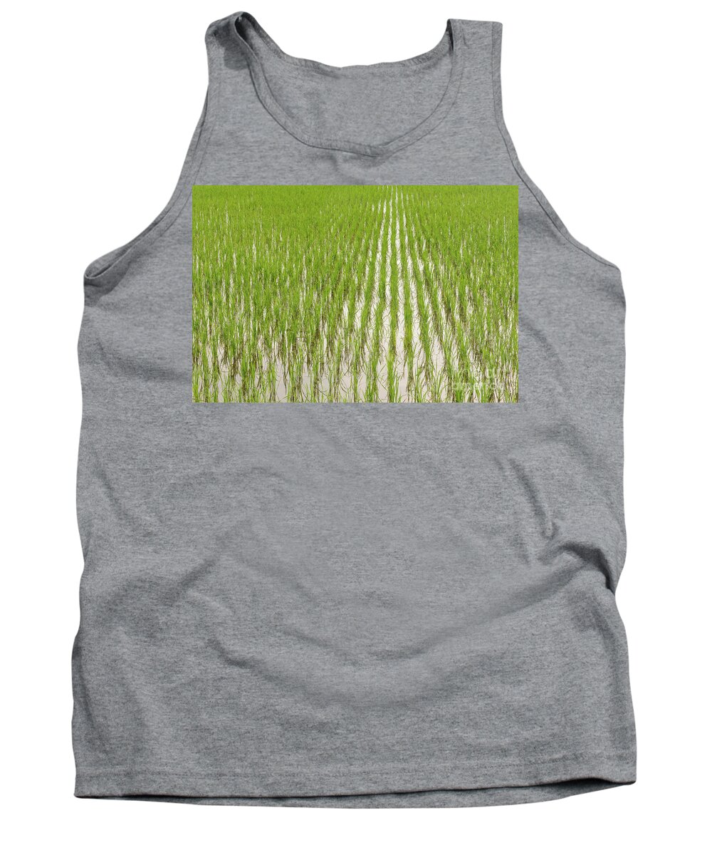 Rice Tank Top featuring the photograph Paddy field by Werner Padarin