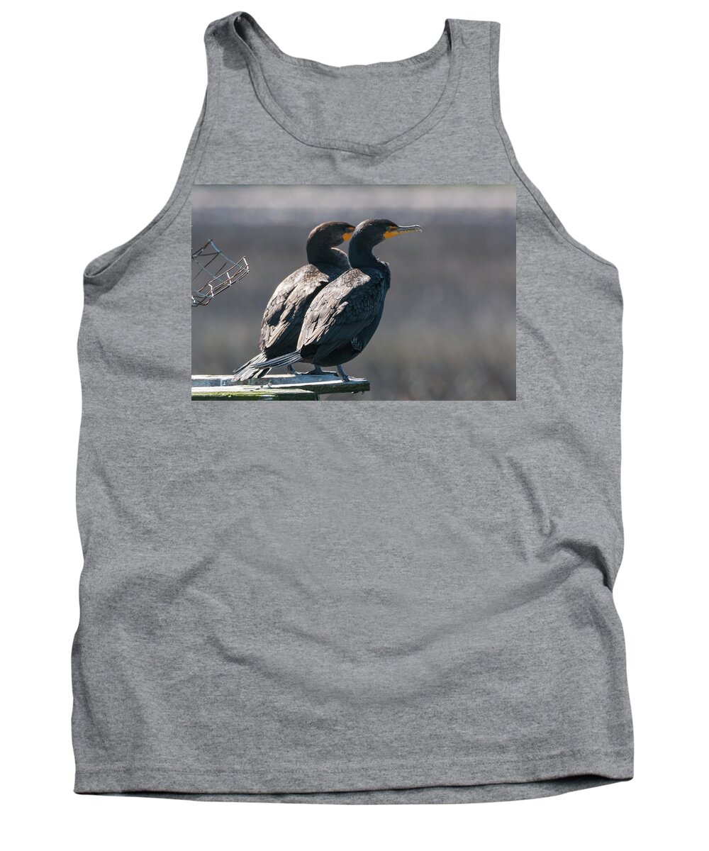 Double-crested Cormorant Tank Top featuring the photograph Pair Double-Crested Cormorant 3 March 2018 by D K Wall