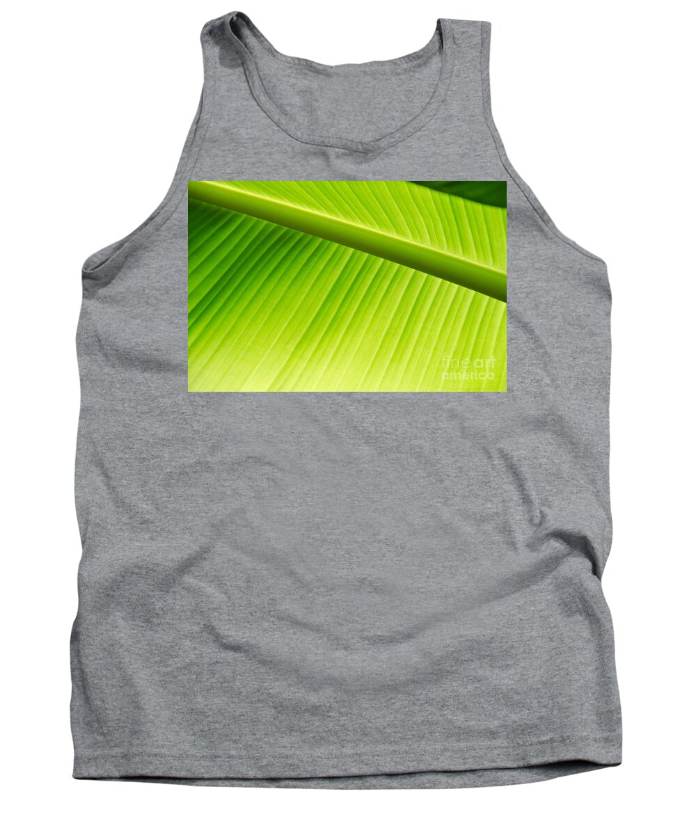 Palm Tank Top featuring the painting Palm Leaf background by Yurix Sardinelly