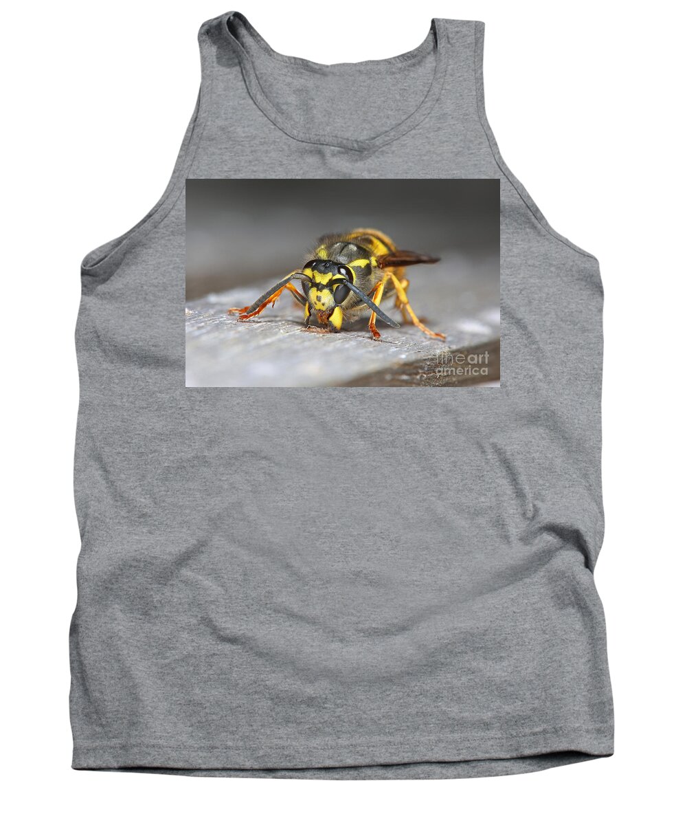 Queen German Wasp Tank Top featuring the photograph Paper Maker by Warren Photographic