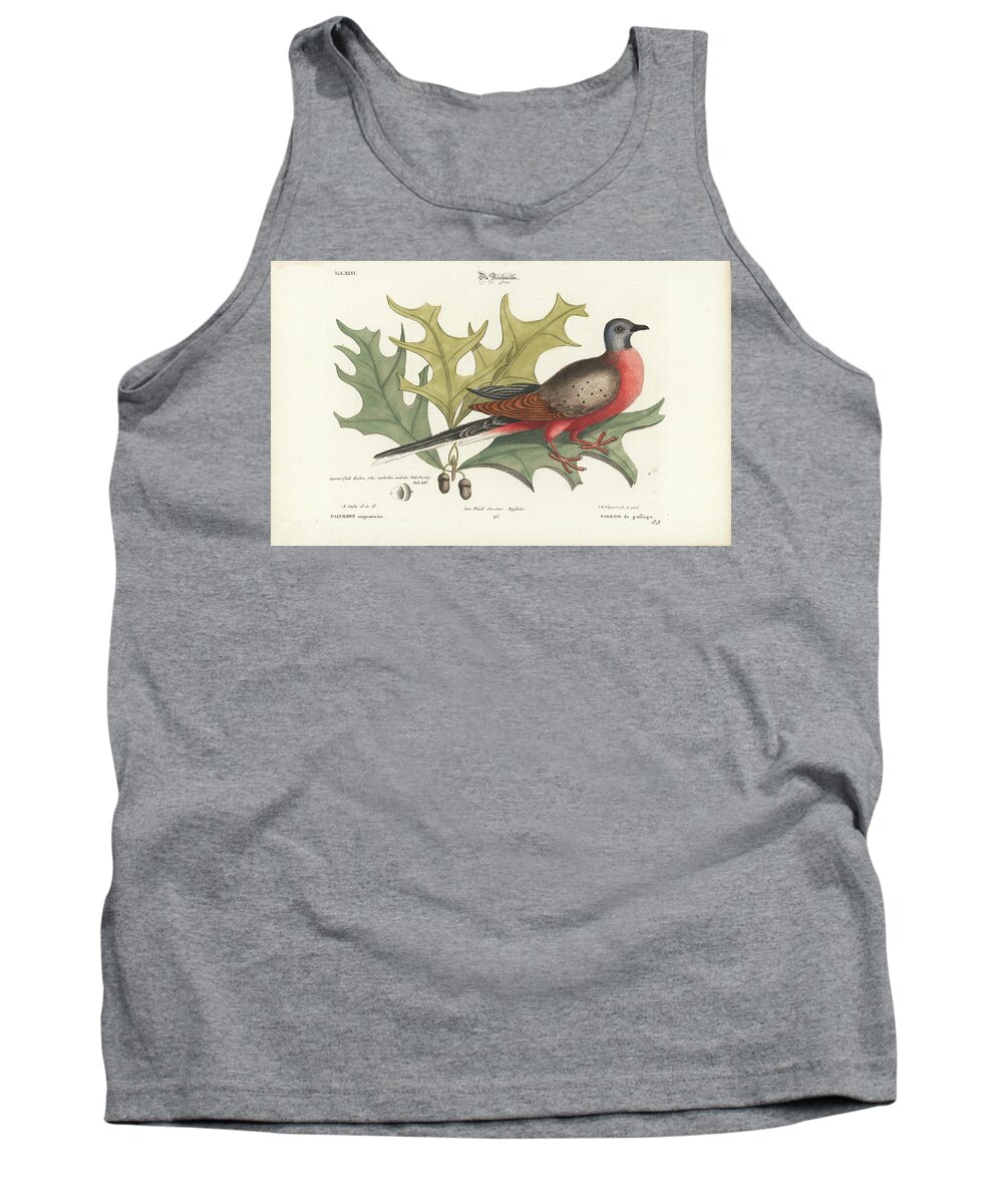 Catesby Tank Top featuring the drawing Passenger Pigeon and Red Oak by Mark Catesby