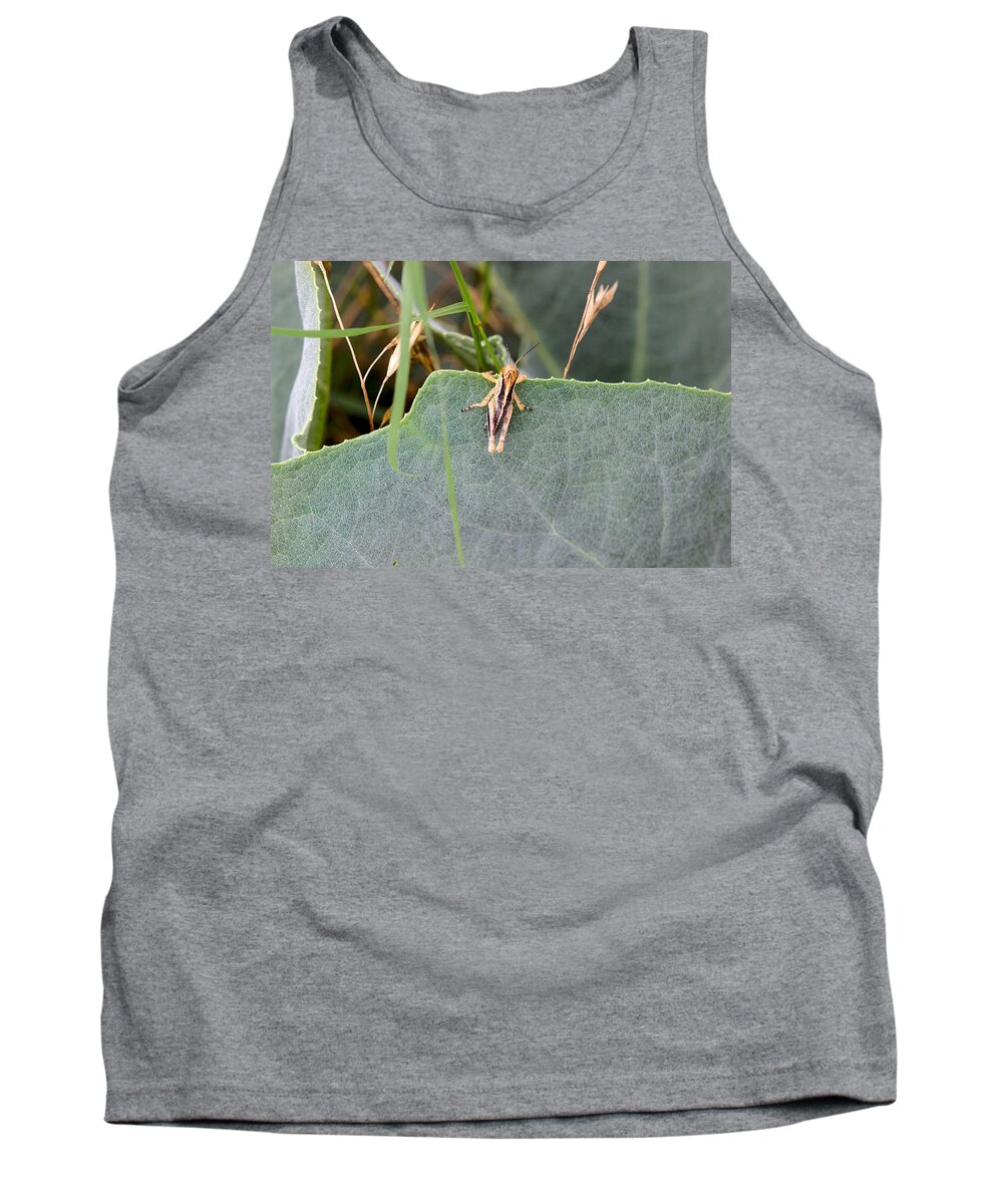 Grasshopper Tank Top featuring the photograph Peeking over the edge by James Smullins
