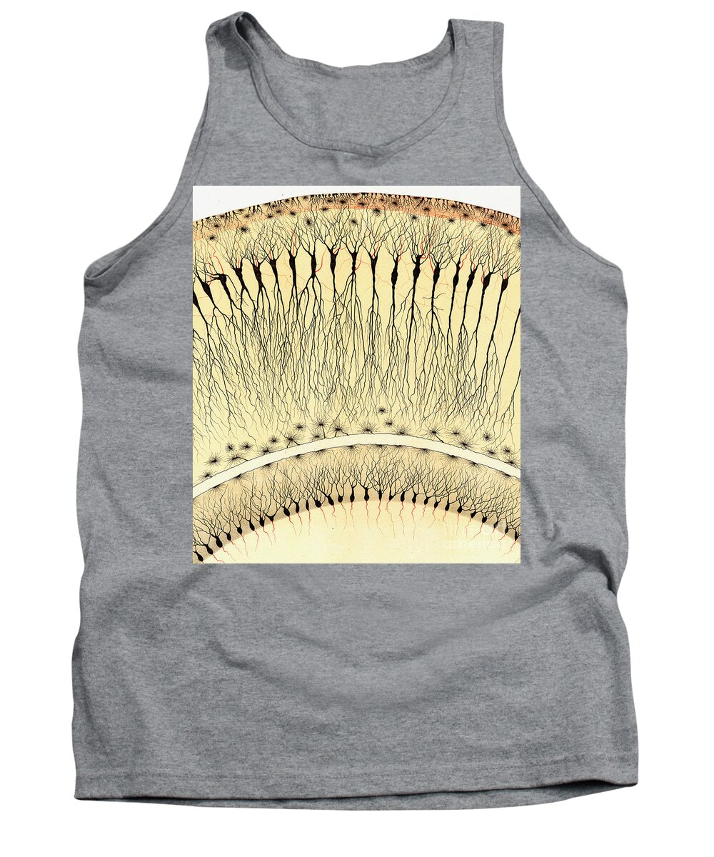 History Tank Top featuring the photograph Pes Hipocampi, Camillo Golgi by Science Source