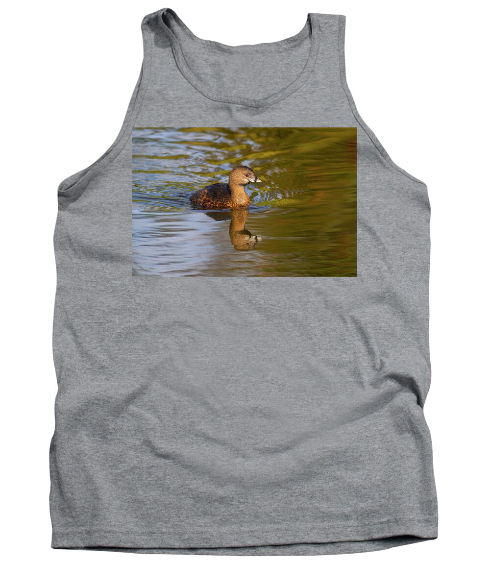Mark Miller Photos Tank Top featuring the photograph Pied-billed Grebe in Golden Light by Mark Miller