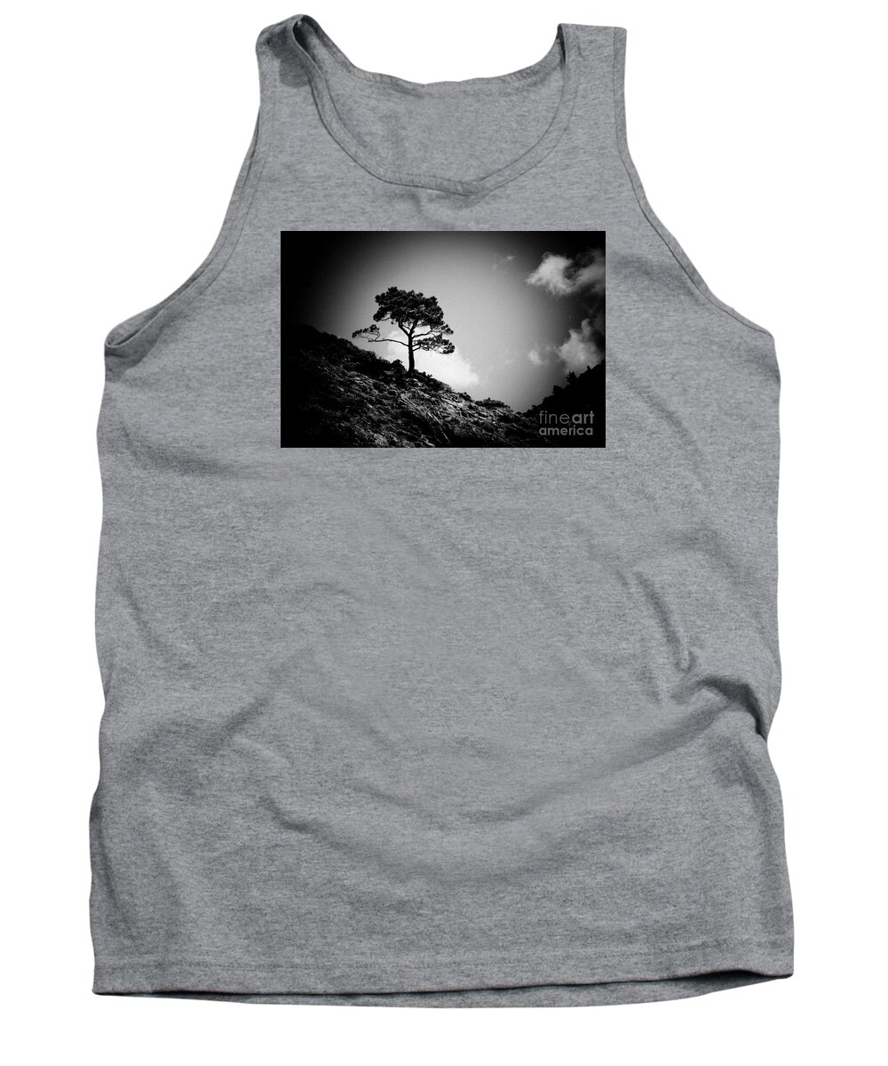 Water Tank Top featuring the photograph Pine at sky background Artmif.lv by Raimond Klavins