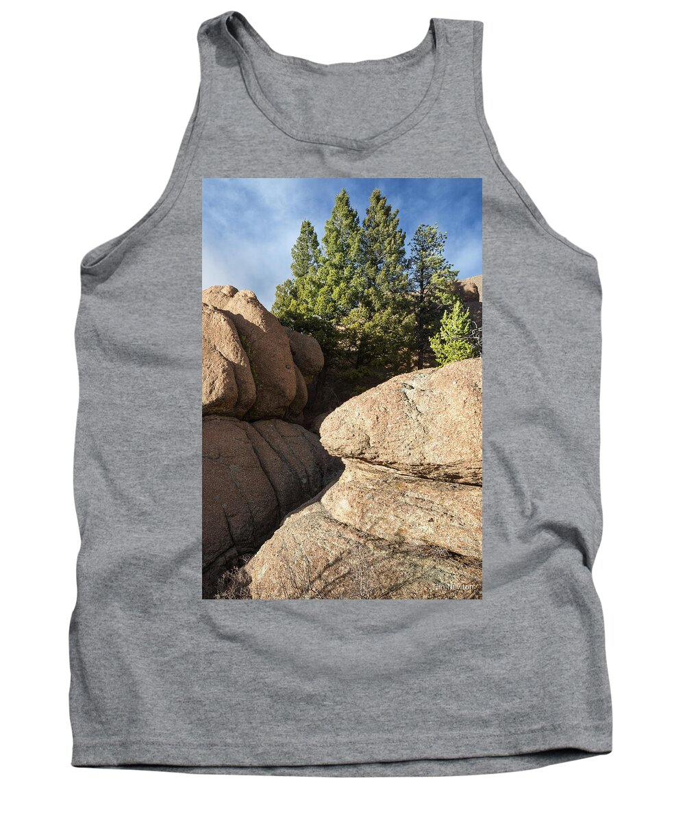 Pine Tank Top featuring the photograph Pines in Granite by Tim Newton