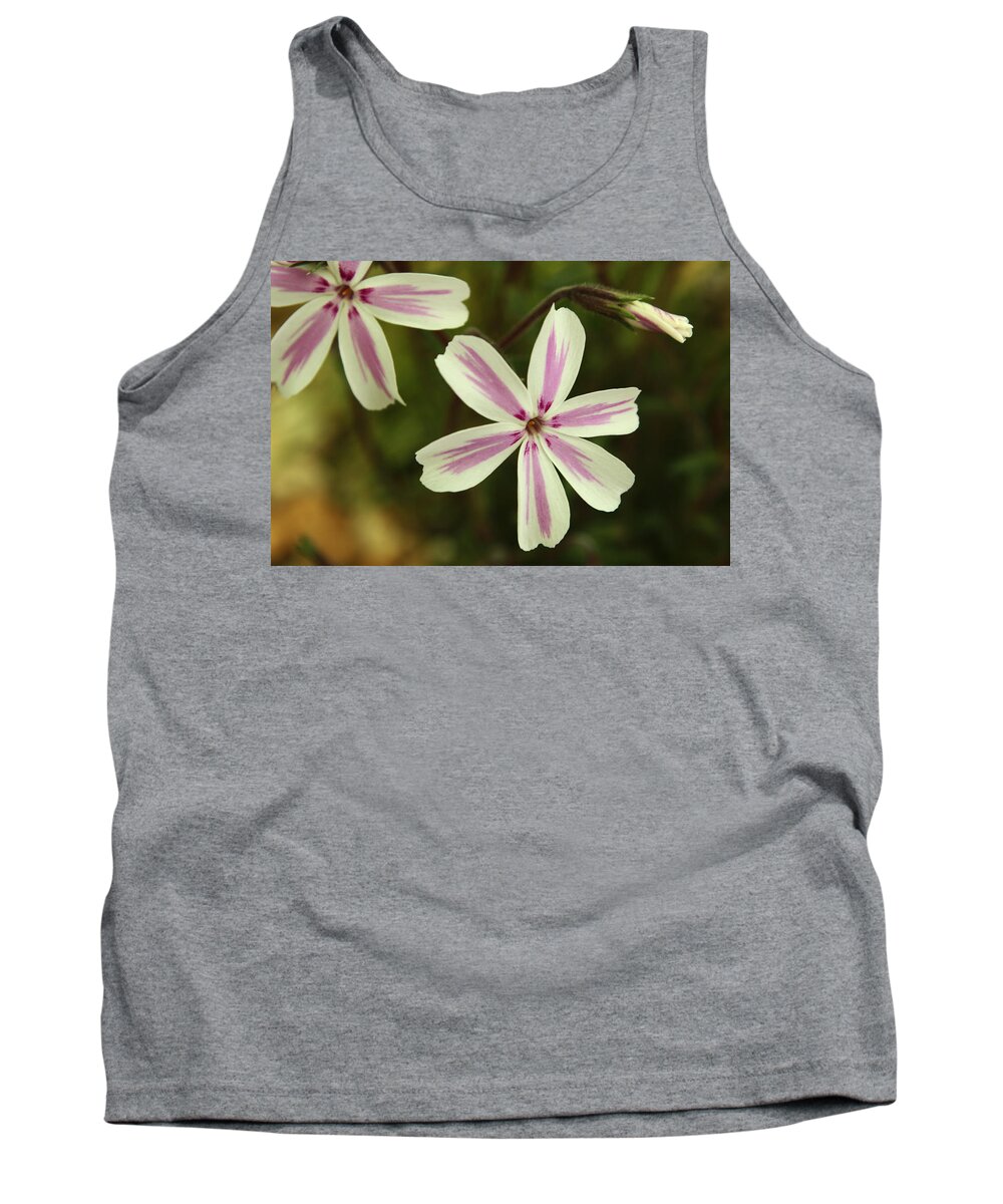 Flower Tank Top featuring the photograph Pink And White Phlox by Adrian Wale