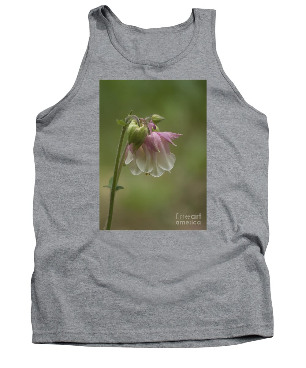 Flowers Tank Top featuring the photograph Pink Columbine 2015 by Lili Feinstein