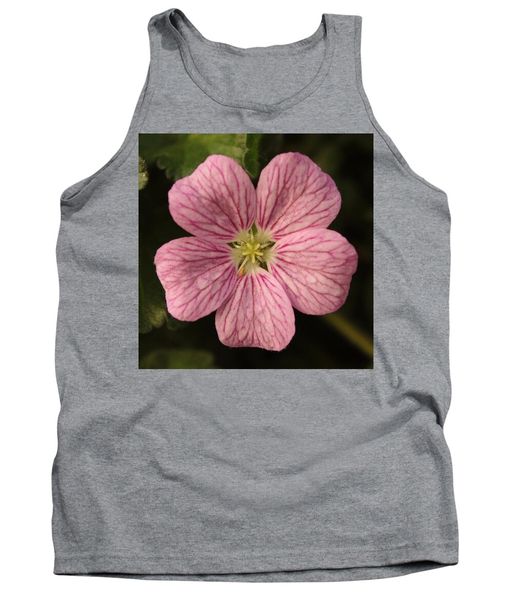 Flower Tank Top featuring the photograph Pink Erodium by Adrian Wale