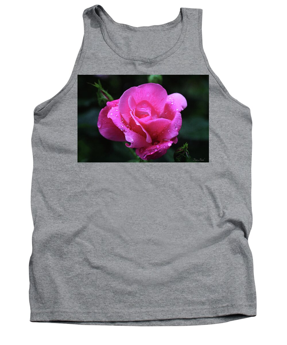 Roses Tank Top featuring the photograph Pink Rose with Raindrops by Trina Ansel