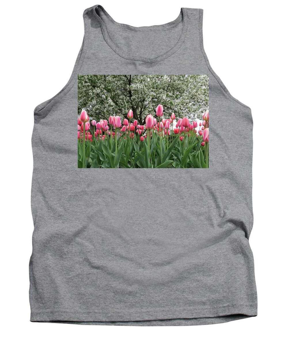 Tulips Tank Top featuring the photograph Pink Tulips Under Flowering Crab Tree by Patti Deters
