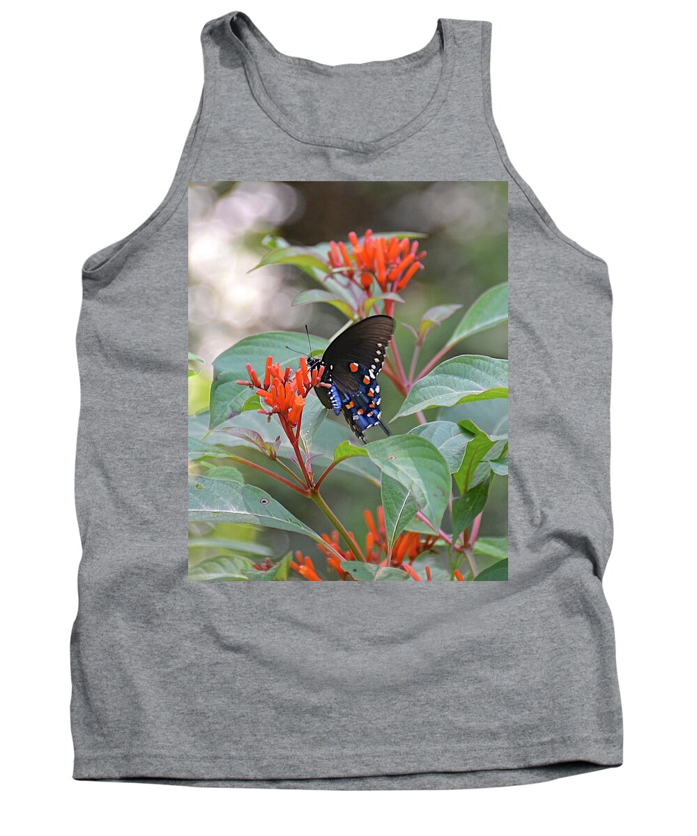 Garden Tank Top featuring the photograph Pipevine Swallowtail Butterfly on Firebush by Carol Bradley