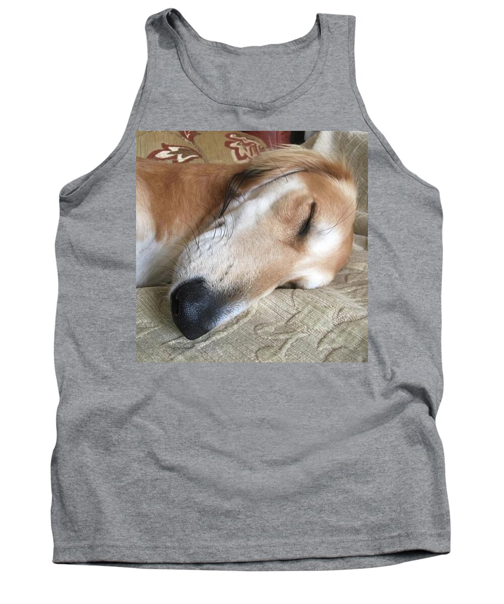Persiangreyhound Tank Top featuring the photograph Please Be Quiet. Saluki by John Edwards