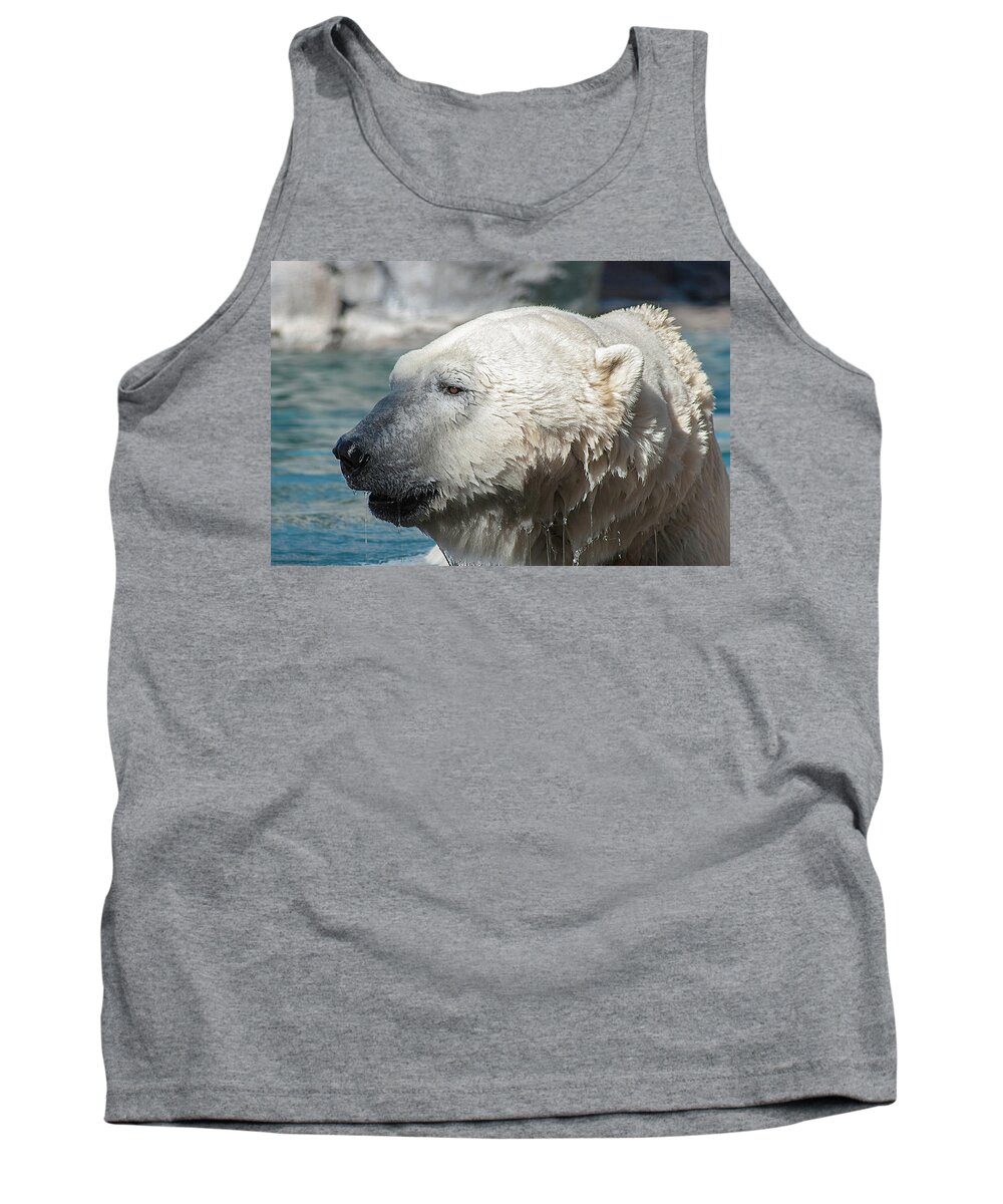 Photography Tank Top featuring the photograph Polar Bear Club by Kathleen Messmer
