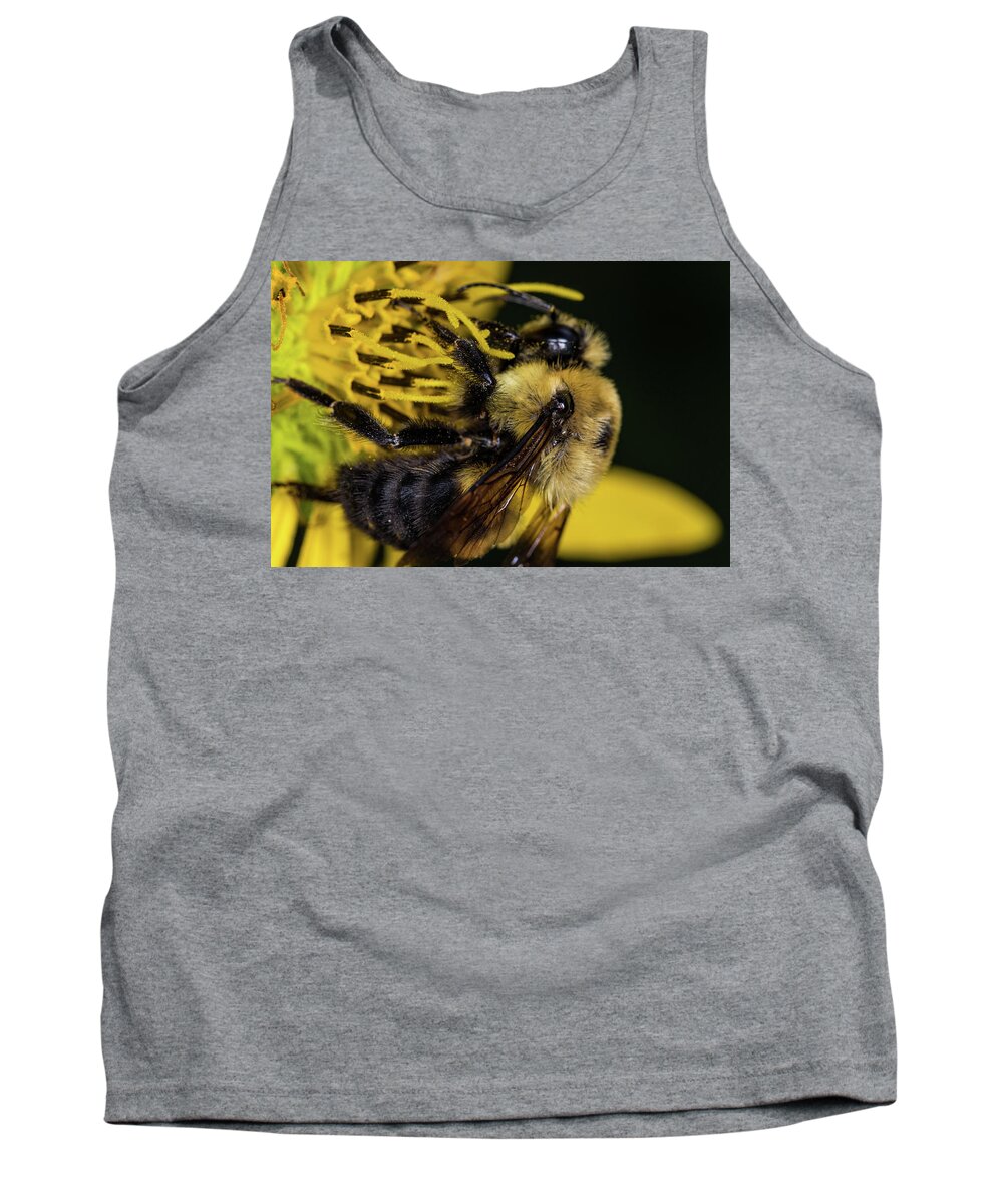Jay Stockhaus Tank Top featuring the photograph Pollen Collector by Jay Stockhaus