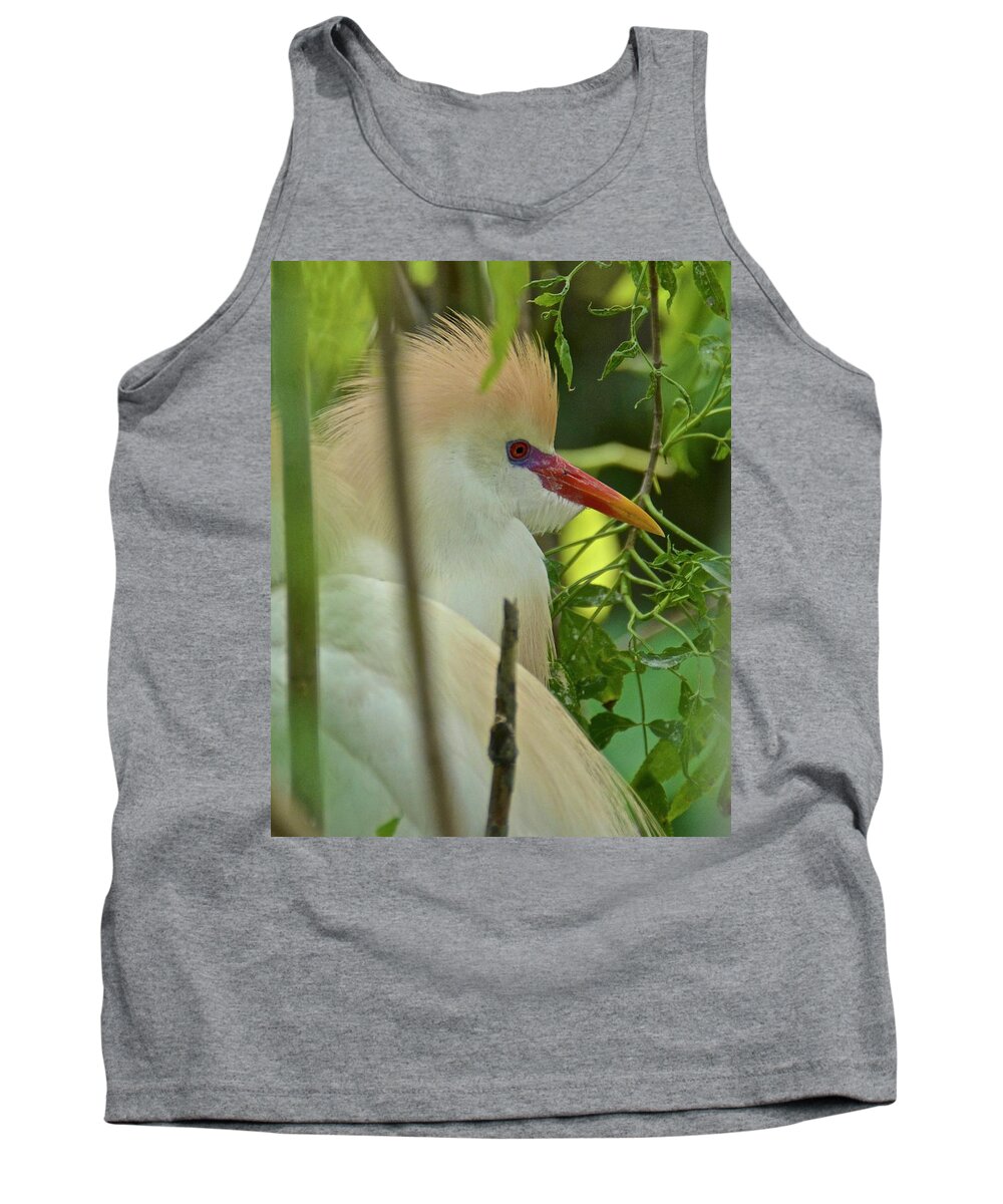 Cattle Egret Tank Top featuring the photograph Portrait Of A Cattle Egret by Carol Bradley