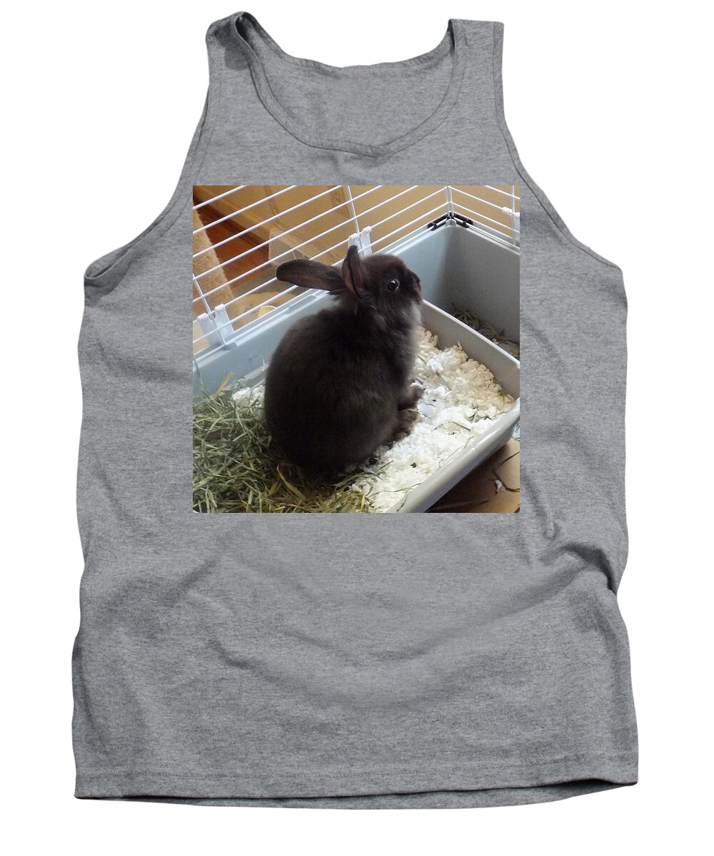 Rabbit Tank Top featuring the photograph Portrait Of Bunbunz by Denise F Fulmer