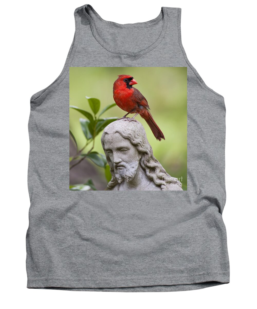 Cardinal Tank Top featuring the photograph Praise the Lord by Bonnie Barry