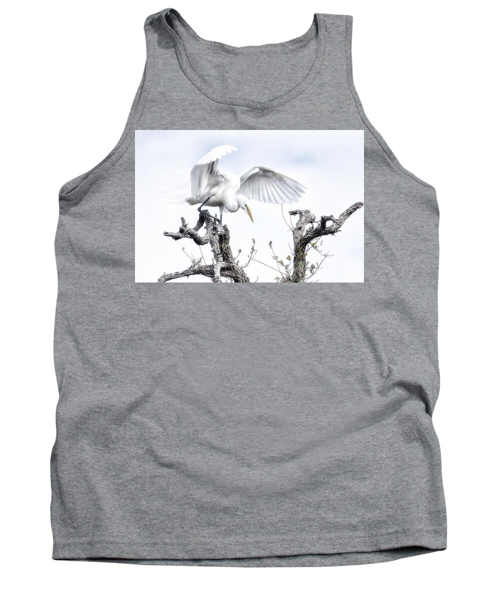 Crystal Yingling Tank Top featuring the photograph Pre-flight by Ghostwinds Photography