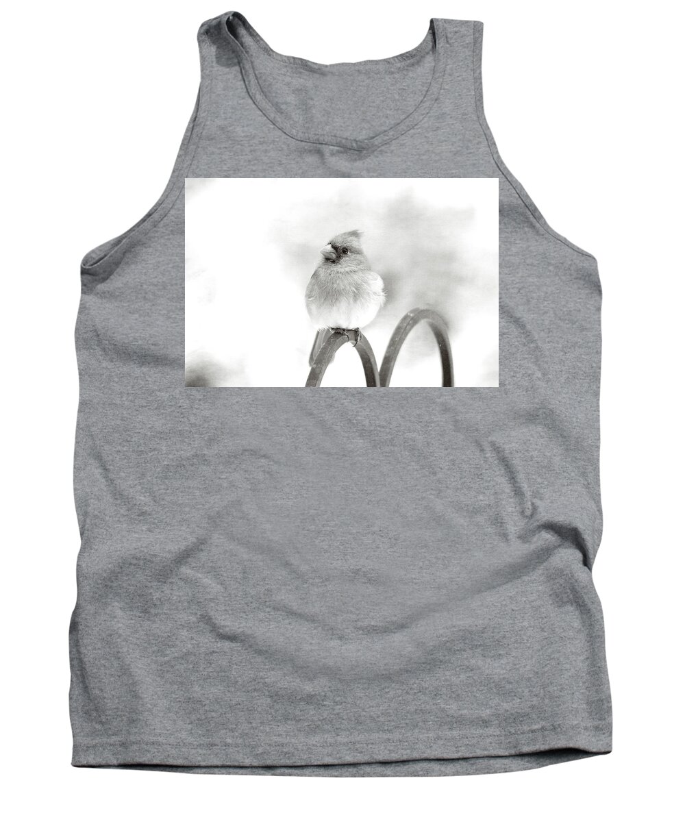 Birds Tank Top featuring the photograph Pretty Cardinal in Black and White by Trina Ansel