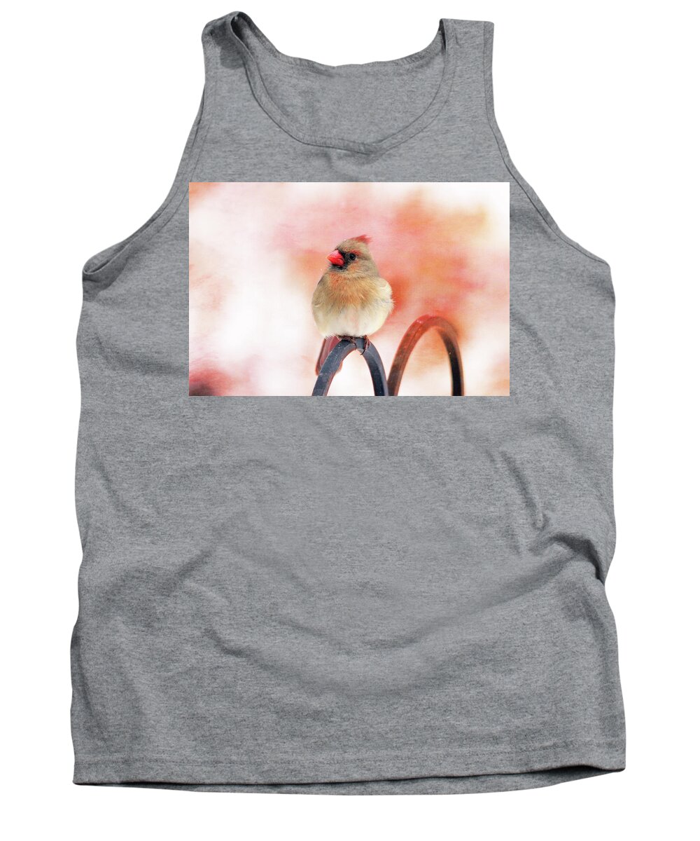 Birds Tank Top featuring the photograph Pretty Cardinal by Trina Ansel