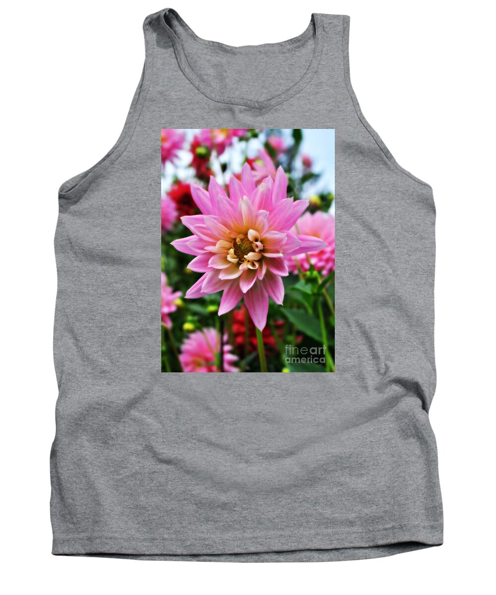 Dahlia Tank Top featuring the photograph Pretty Pink Dahlia by Mindy Bench
