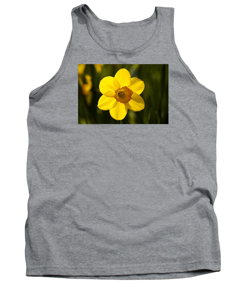  Tank Top featuring the photograph Projecting the Sun by Dan Hefle