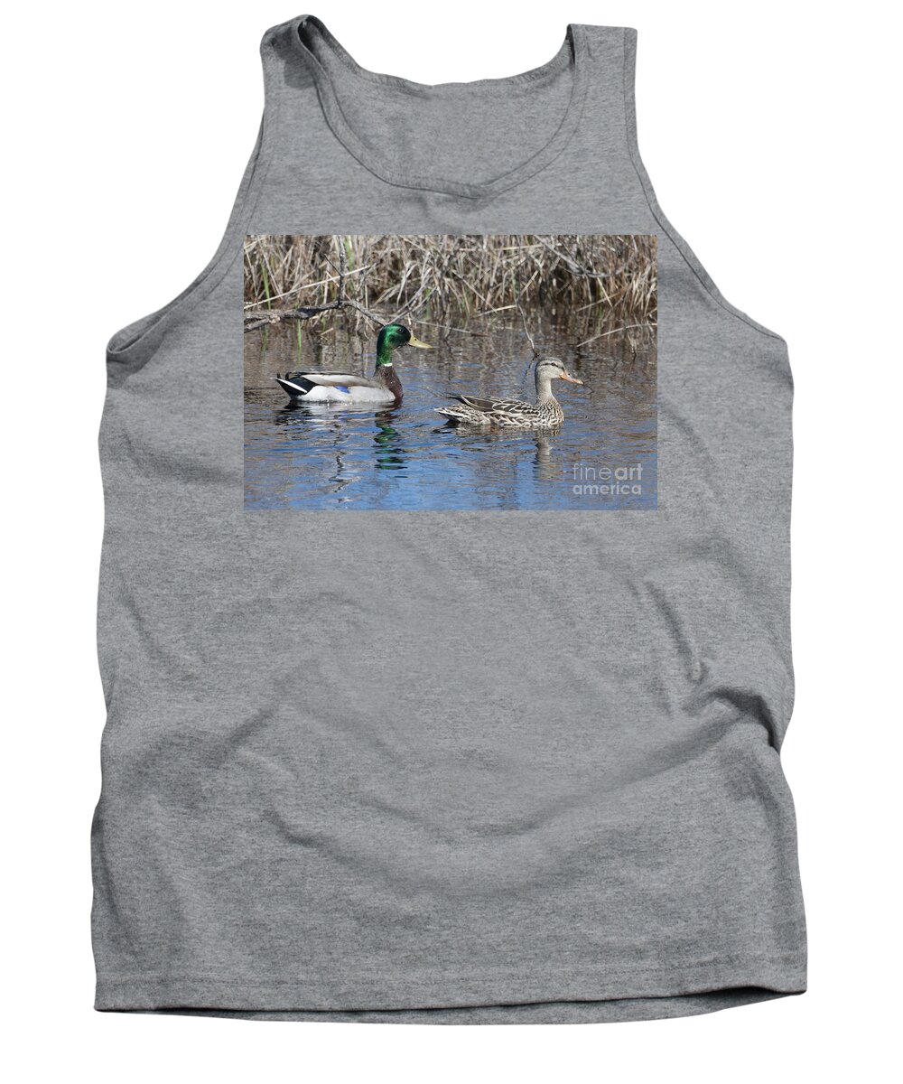 Natanson Tank Top featuring the photograph Protecting the Nest by Steven Natanson