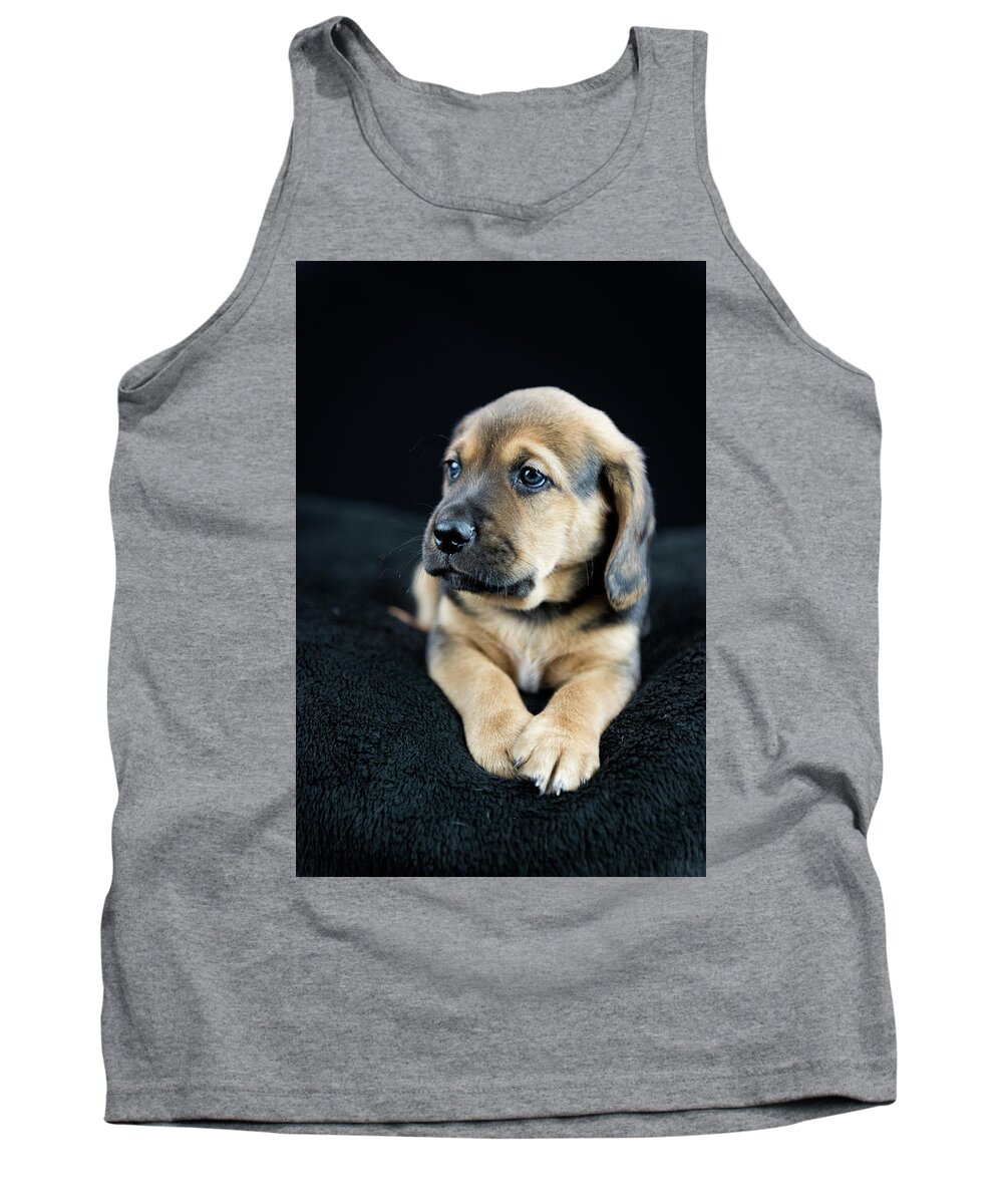 Puppies Tank Top featuring the photograph Puppy Portrait by Tammy Ray