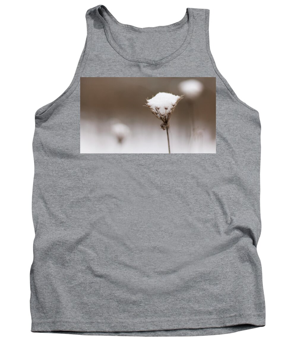 Wildflower Tank Top featuring the photograph Queen Anne in the Snow by Holly Ross