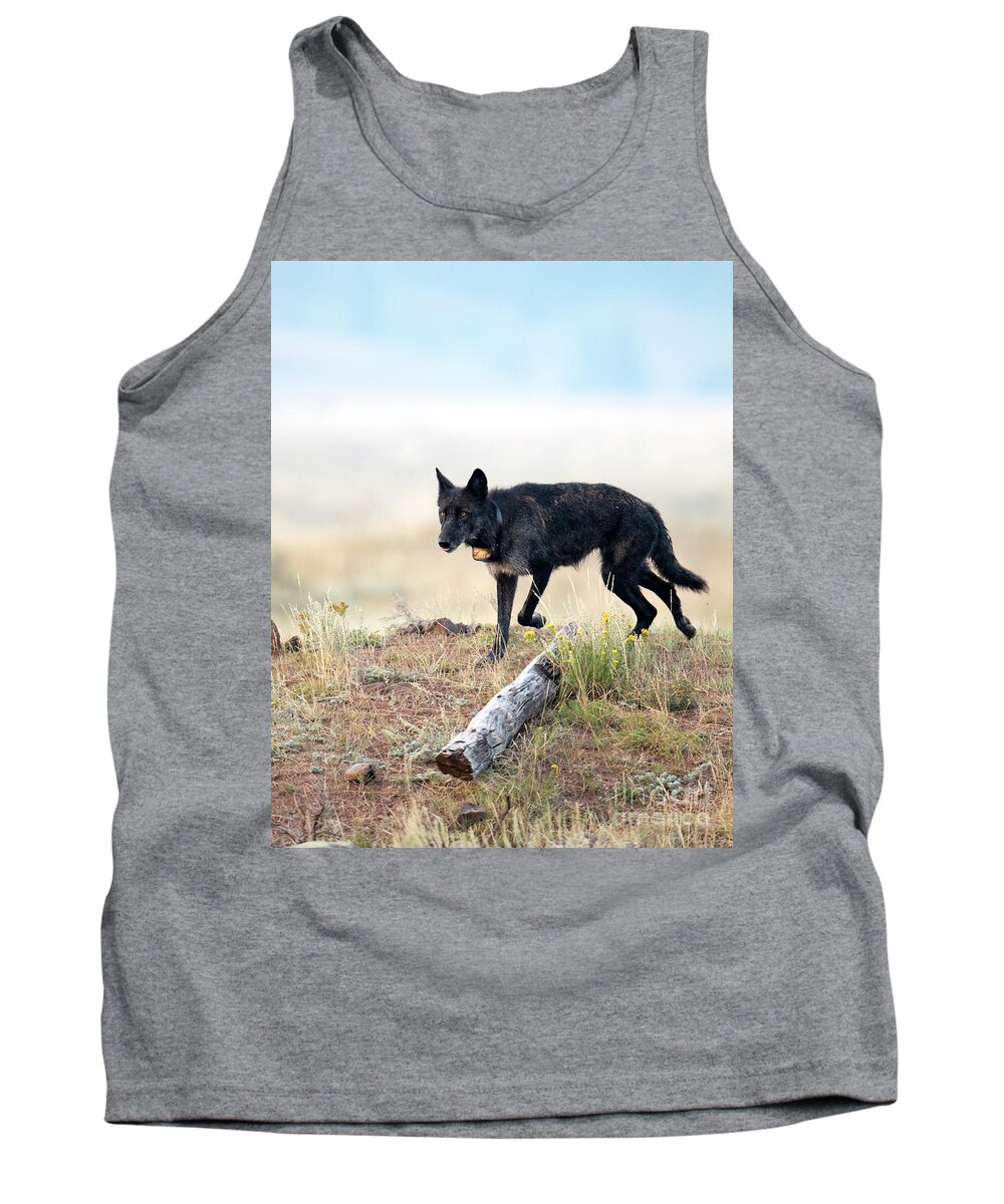Wolf Tank Top featuring the photograph Queen of Lamar Valley by Deby Dixon