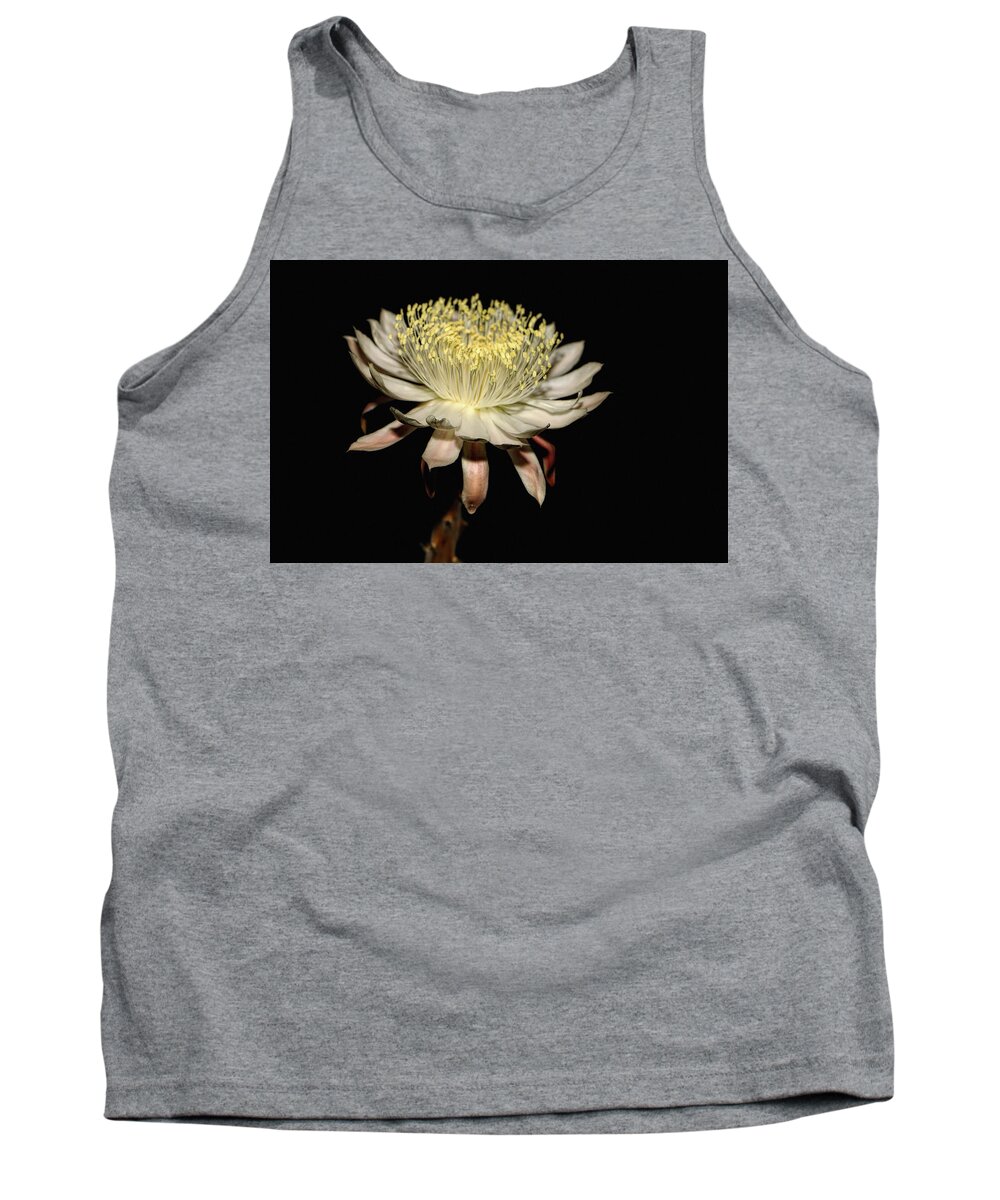 Flowers Tank Top featuring the photograph Queen Of The Night by Elaine Malott