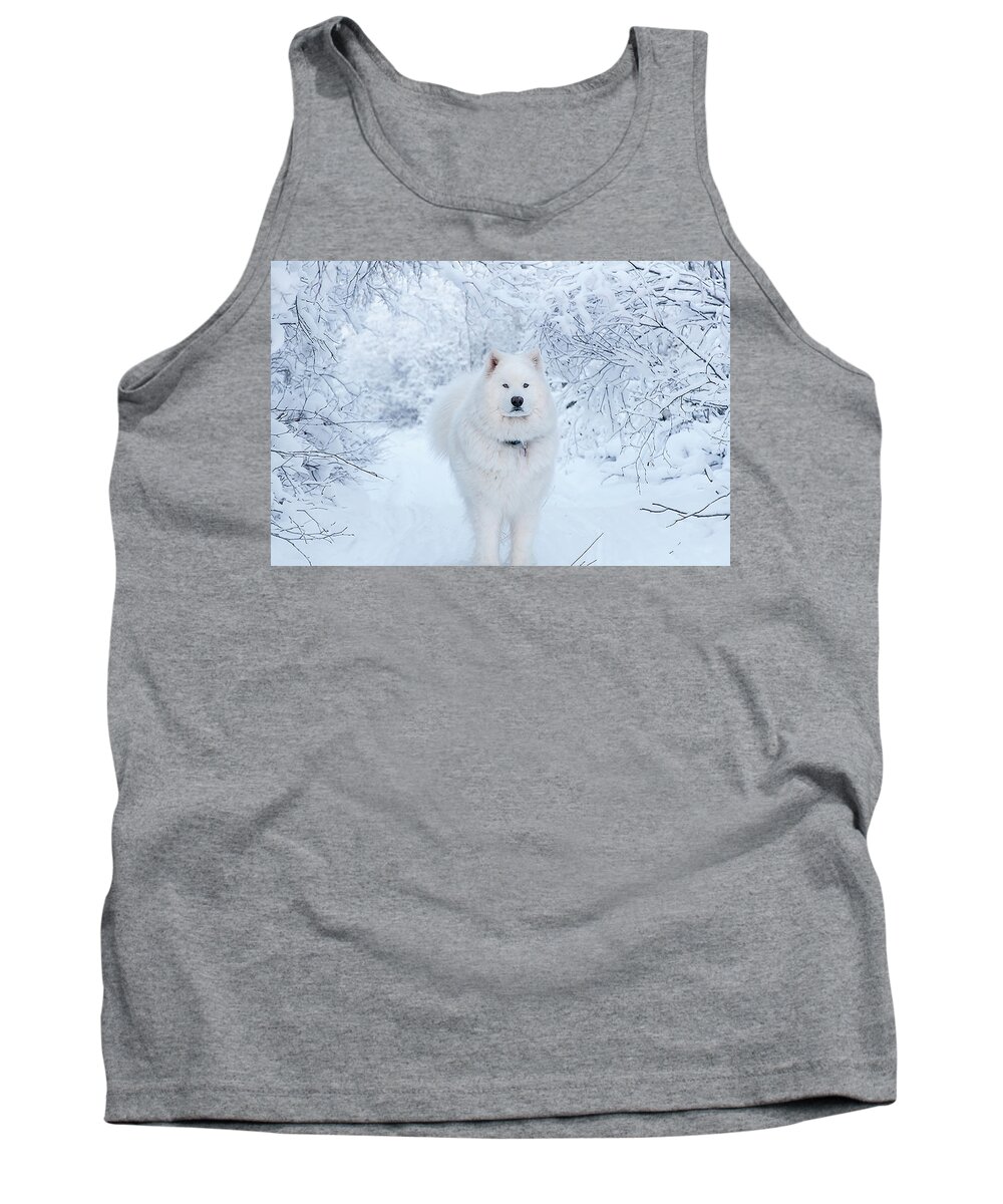 Samoyed Tank Top featuring the photograph Quinn the Mighty Samoyed by Valerie Pond