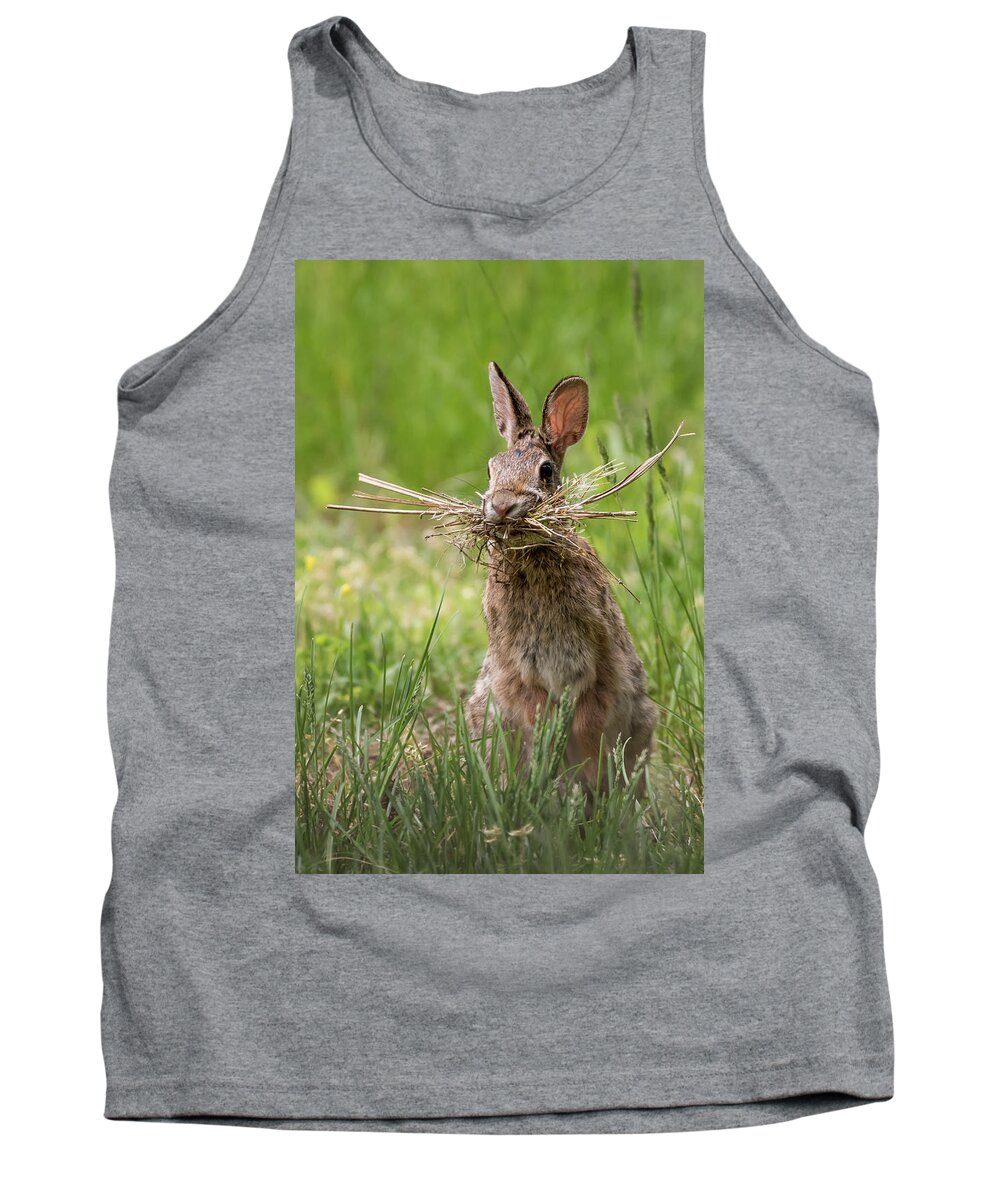 Rabbit Collector Tank Top featuring the photograph Rabbit Collector by Terry DeLuco