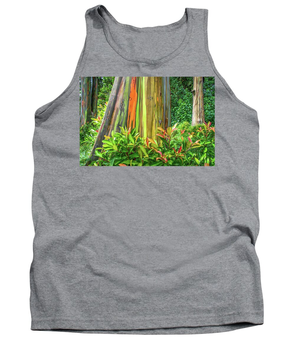 Eucalyptus Tank Top featuring the photograph Rainbow Eucalyptus 3 by Will Wagner